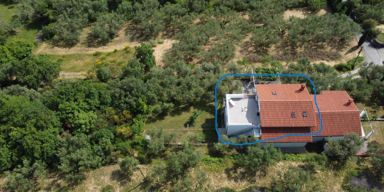 House Among Olive Trees With A Sea View 1 Apartment Ankaran Exterior photo
